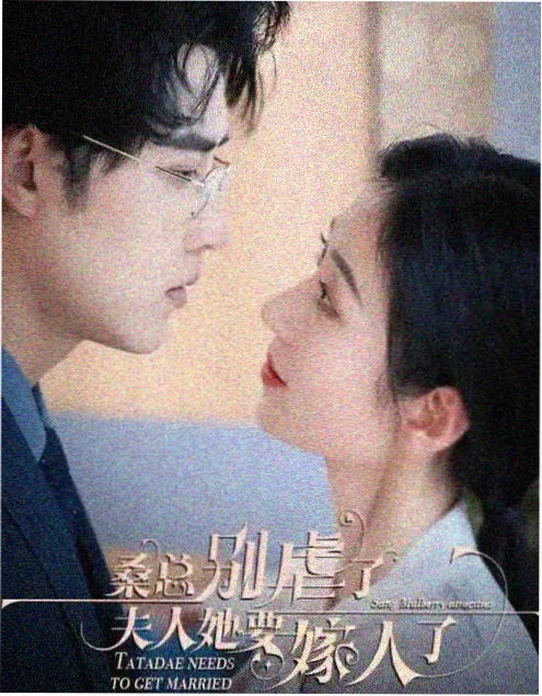 山河故人录 古装电视剧全集免费观看